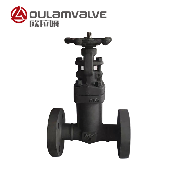  國標(biāo)波紋管閘閥 WZ41H 鍋爐